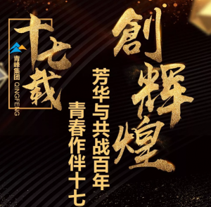 【最佳作品獎(jiǎng)】青峰“十七歲花季”綻放歷程——青春作伴十七載，芳華與共戰(zhàn)百年